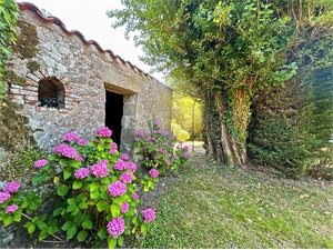 maison à la vente -   85290  MORTAGNE SUR SEVRE, surface 241 m2 vente maison - UBI479200214
